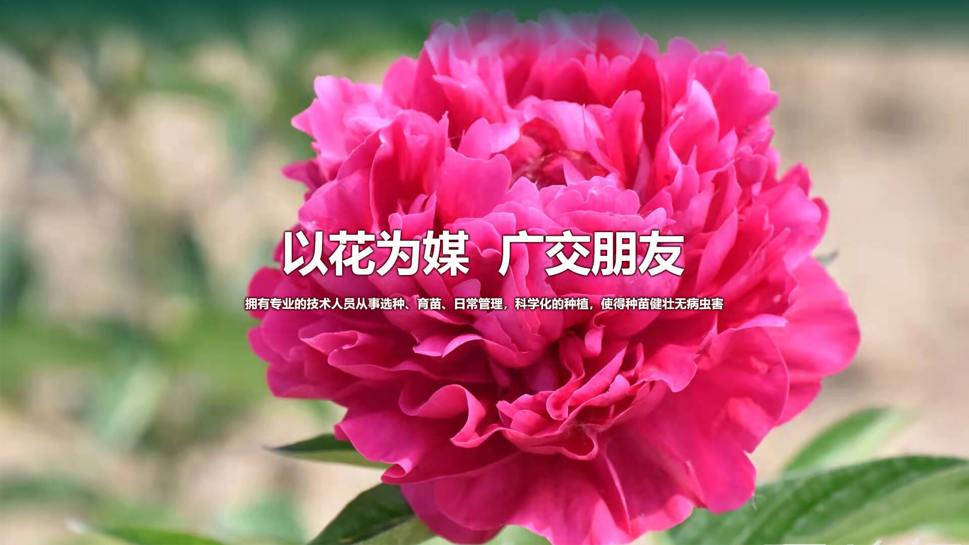 濰坊馳龍機電設備有限公司